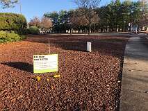 3: IMG_3216