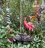 2: IMG_6668