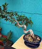 3: IMG_6673