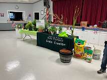 6: IMG_8343
